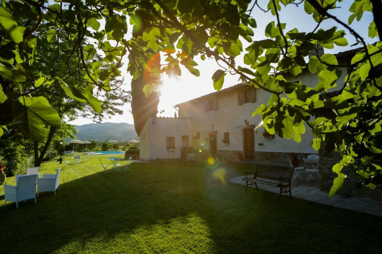 Il Vignolino Guest House Barberino di Mugello Exterior foto