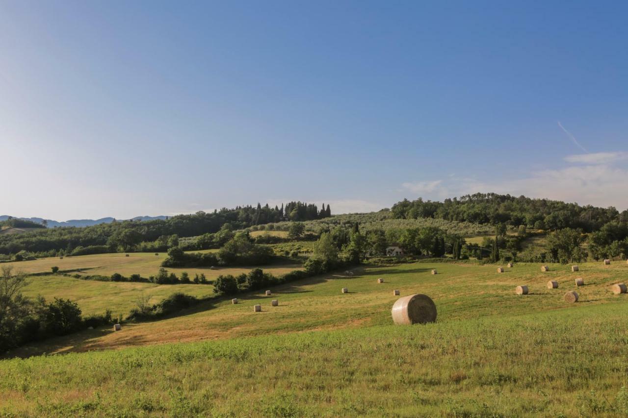Il Vignolino Guest House Barberino di Mugello Exterior foto