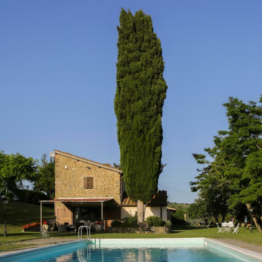 Il Vignolino Guest House Barberino di Mugello Exterior foto