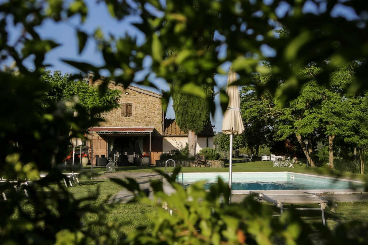 Il Vignolino Guest House Barberino di Mugello Exterior foto